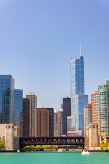 Fototapeta na wymiar Downtown Chicago Vertical View