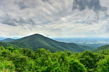 Fototapeta premium Shenandoah National Park - Virginia