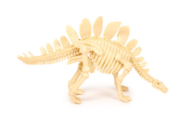 Plastic Toy Animal Dinosaur Skeleton isolated on white background