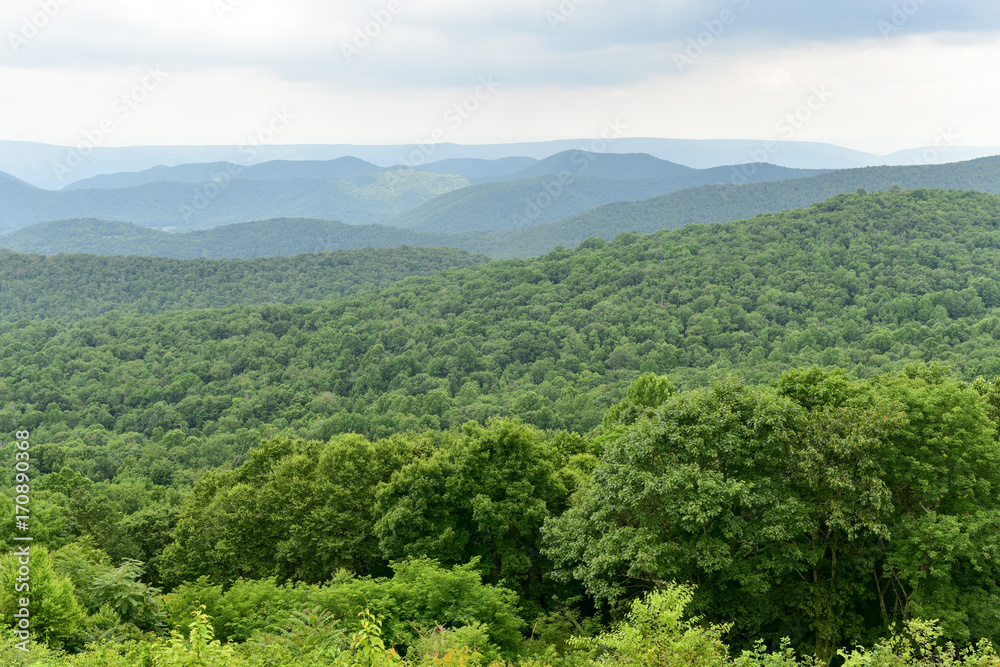 Wall mural Shenandoah National Park - Virginia