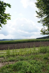 Fototapeta na wymiar Landschaft um Burg Katzenstein (Schwäbische Alb) - Panorama im Spätsommer