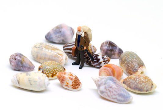 Senior traveler and sea shells on white background. Aged backpacker and seashells collection.