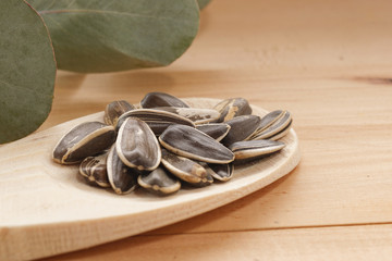 Sunflower seeds on spoon