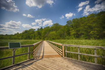 View of walkway in marshland landscape at Ontario's Royal Botanical Garden