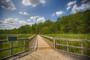 Fototapeta premium View of walkway in marshland landscape at Ontario's Royal Botanical Garden
