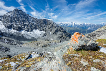 paysage de montagne avec un chemin, de la neige, de l'herbe et une pierre avec du lichen orange