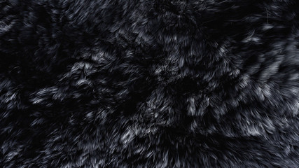 Beautiful black fur blowing on the wind, luxury abstract natural material, close up macro shot of animal hair.