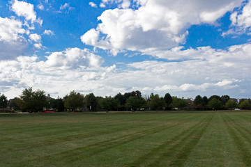Midwestern Landscape