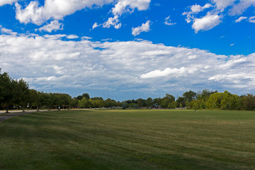 Indiana Summer Field