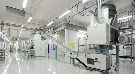 conveyor line in a chocolate factory