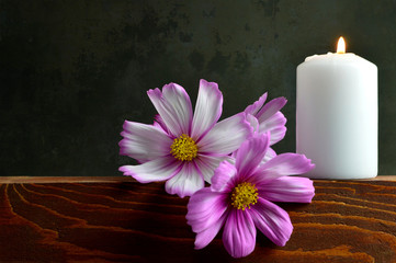 Obraz na płótnie Canvas White burning candle and flowers