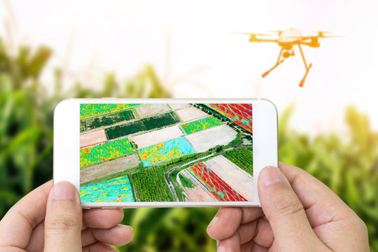 Smart agriculture , farm , precision farming concept. Drone and NIR images processing application screen used to create field health maps for normalize difference vegetation index in field.
