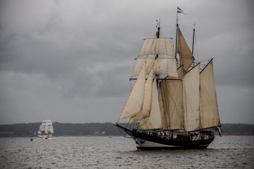 Fototapeta na wymiar Sailing tall ship in Charlottetown harbor, Prince Edward Island.