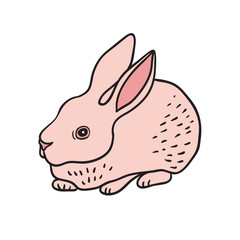 Little Pink Rabbit Vector Illustration