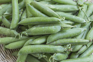 Pile of fresh green peas