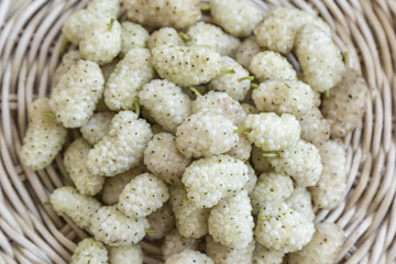 Fresh white mulberry
