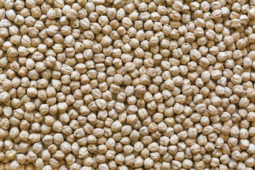 dried chickpeas isolated