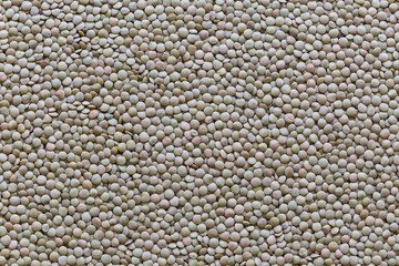 Close-up dried green lentil grains background