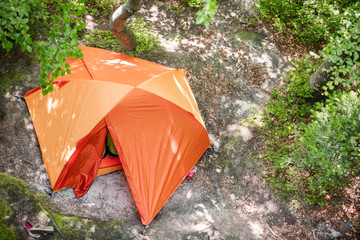 Tourist orange tent in forest