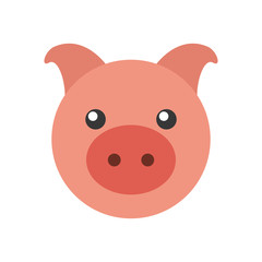 piggy bank saving money cash invest concept vector illustration