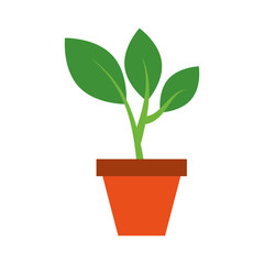 growing tree green sprouts rising from ceramic pot concept vector illustration