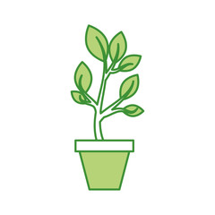 growing tree green sprouts rising from ceramic pot concept vector illustration