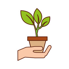 hand with pot plant growth business finance vector illustration