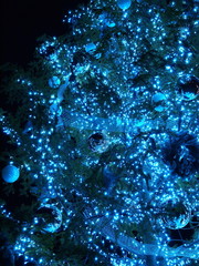 青く灯されたクリスマスツリー