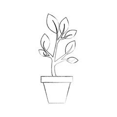 growing plant sprouts rising from ceramic pot concept vector illustration
