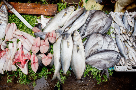 Marokko, Marrakech-Tensift-Al Haouz, Marrakesch, Fischverkauf in Marrakesch