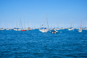 Obraz premium group of sailboats in water