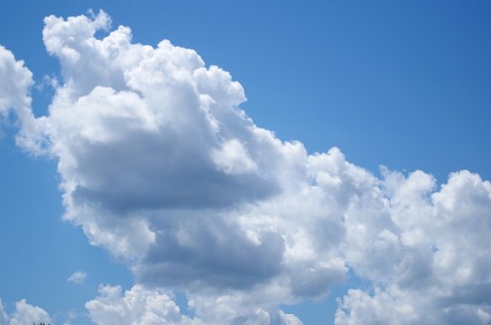 Cumulus background cloudscape. Weather and sky.