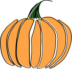 Pumpkin Orange Line Drawing Illustration Vector Art Hand Drawn Design