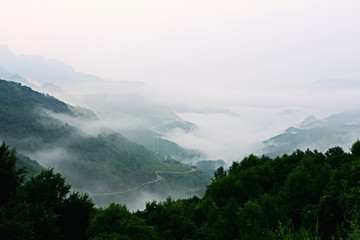 Beautiful mountain forest. Landscape and nature.