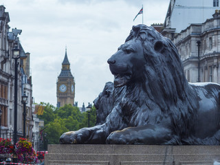 The Lions at Trafalgar Square London and Queen Elizabeth Tower