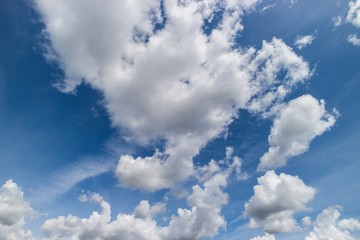 Blue sky and fresh air for background.