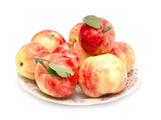 Fototapeta na wymiar fresh apple isolated on white background