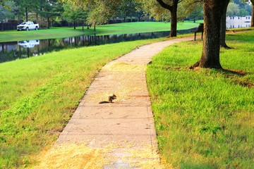 Post hurricane Harvey flooding in Houston near Tanner Rd and N Eldridge Pkwy
