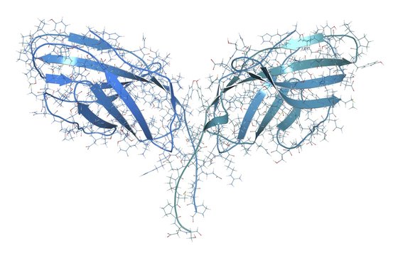Immune checkpoint protein molecule, illustration