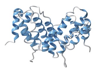 Interferon gamma molecule, illustration