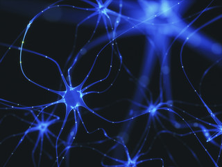 Nerve cells, illustration