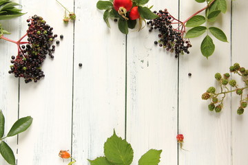 Wildfrüchte Herbst Tisch Overhead Wilde Früchte Holunderbeeren Hagebutten Brombeeren