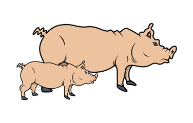 Cartoon handmade Pigs Vector