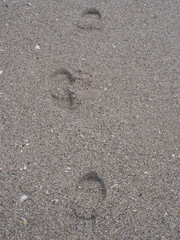 Fototapeta na wymiar Footprints In Sand