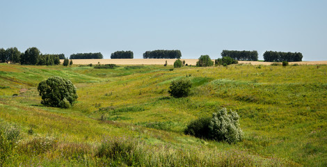 Sunny summer landscape.Fields of Tula region,Russia 