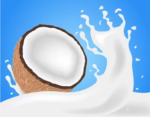 Fototapeten coconut milk and juice vector © gritsalak