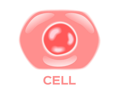 skin cell vector