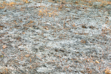 surface burned land grass leaf  in summer are ashes. air pollution global warming