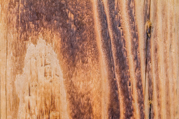 Flamed wood texture