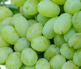 Bunch of ripe and fresh green grapes, close-up